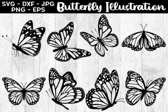 Download Butterfly Illustration Butterfly SVG EPS - Butterfly svg Collection
